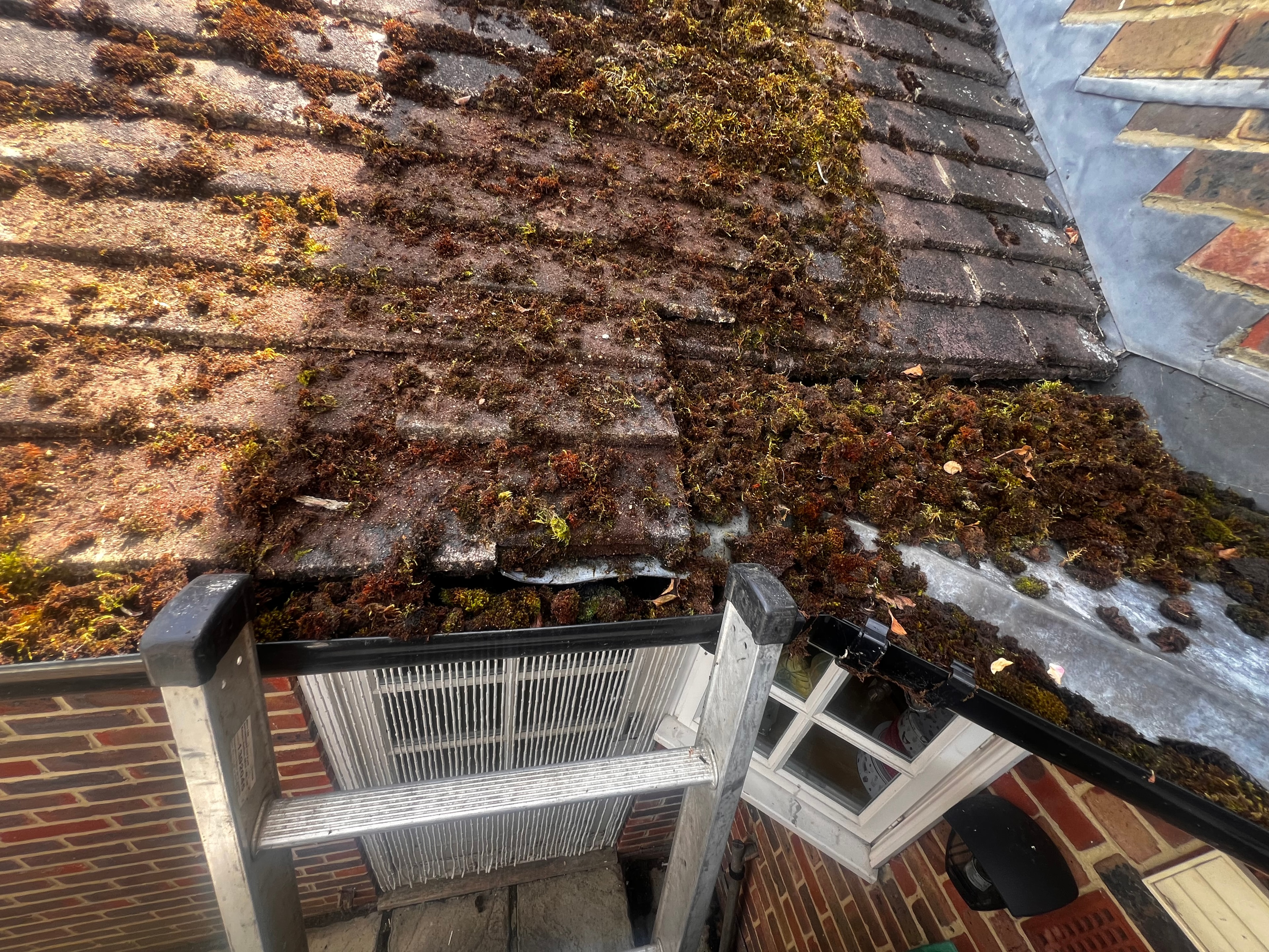 Gutter cleaning technician at work on a Sussex home